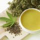 cannabis topicals