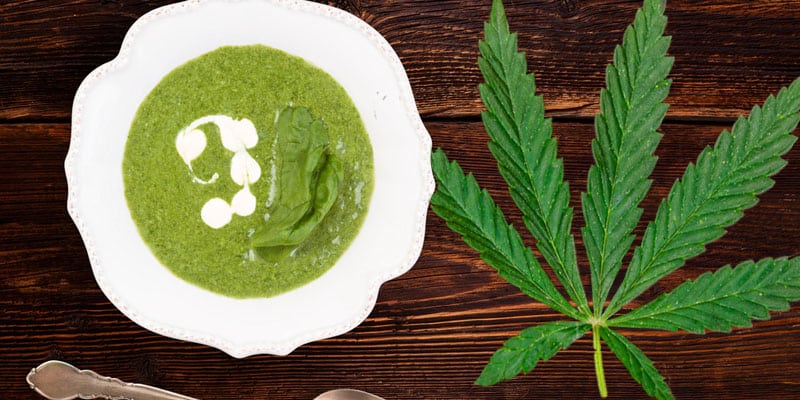 Cream of Cannabis Soup