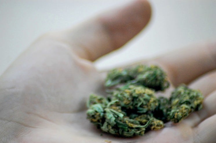 Man Tries To Bribe Police Officer With Weed