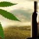cannabis infused wine