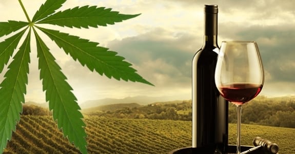 cannabis infused wine