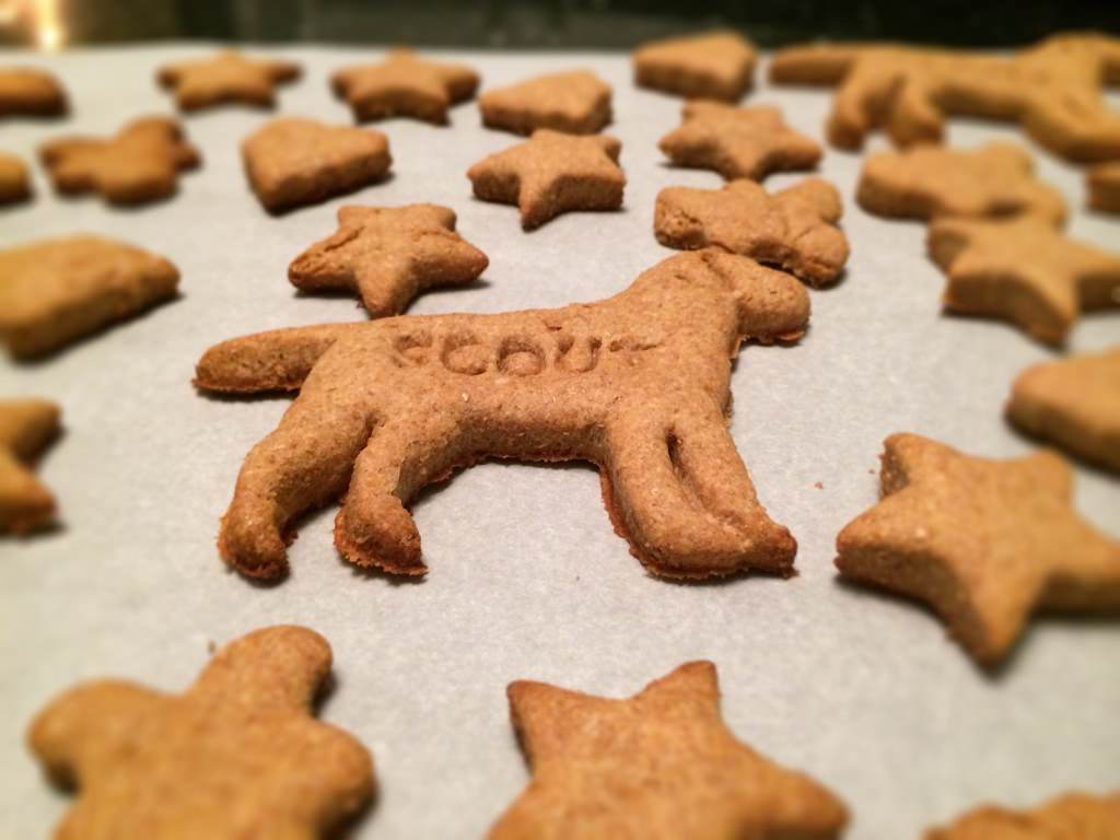 dog treats