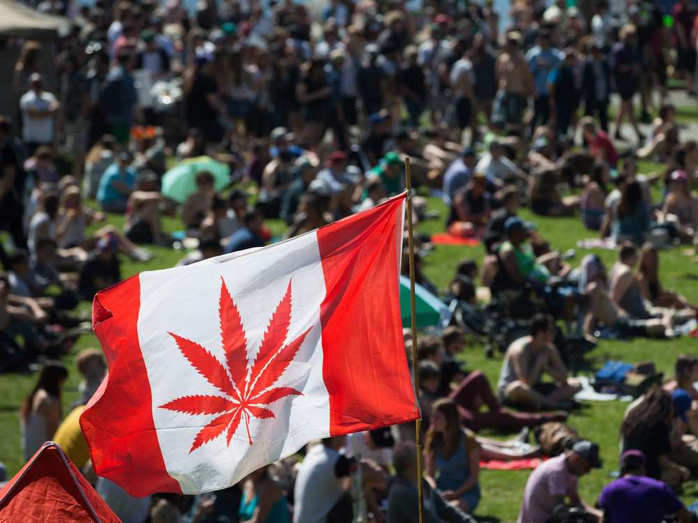 420 cannabis culture toronto