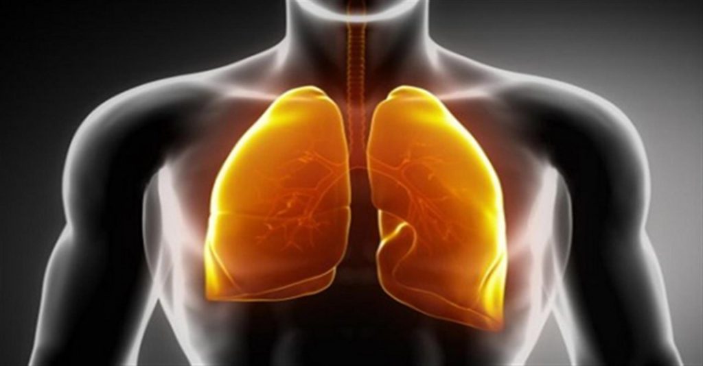 purify your lungs lung detox