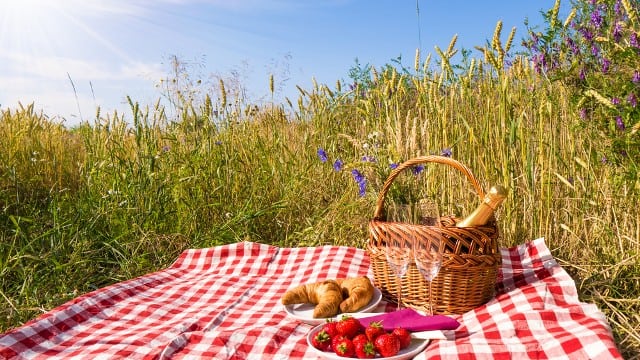 places for picnics