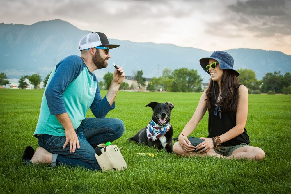 Spring into Cannabis: Picnics with Mary Jane