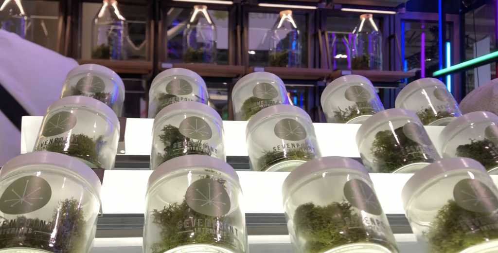Seven Points Design Booth, a firm focusing on cannabis retail experiences and design.
