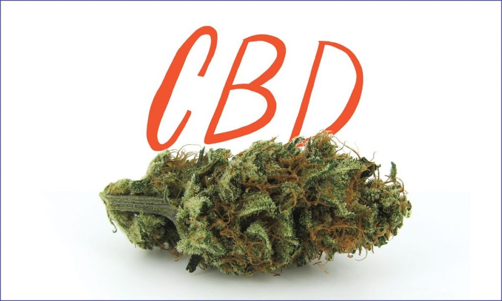 CBD Strains