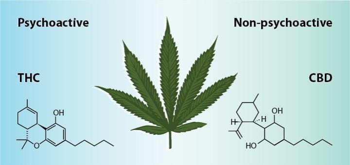 How To Use CBD Oil