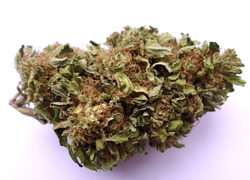 Blue Cheese - the best weed strains for sex