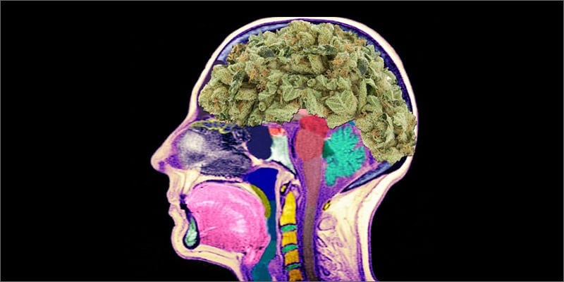 cannabis and music