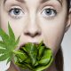 the marijuana diet