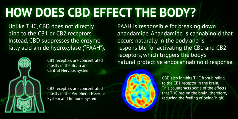What are the different forms of CBD edibles?