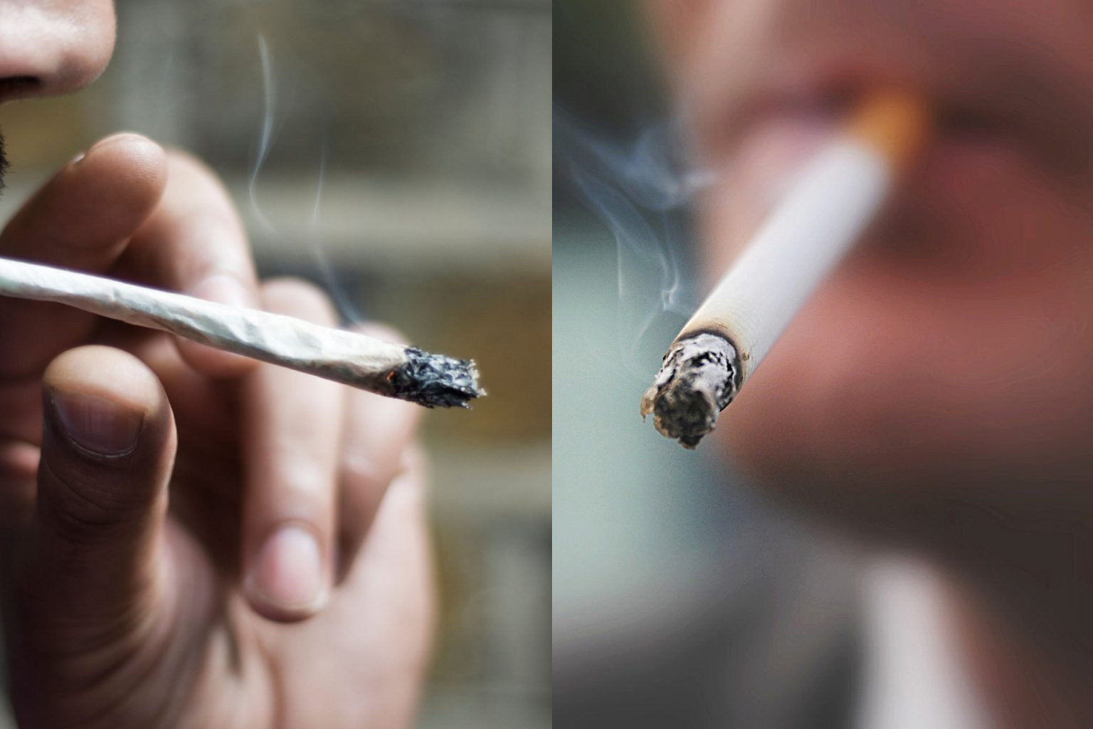 is smoking marijuana safer than smoking cigarettes