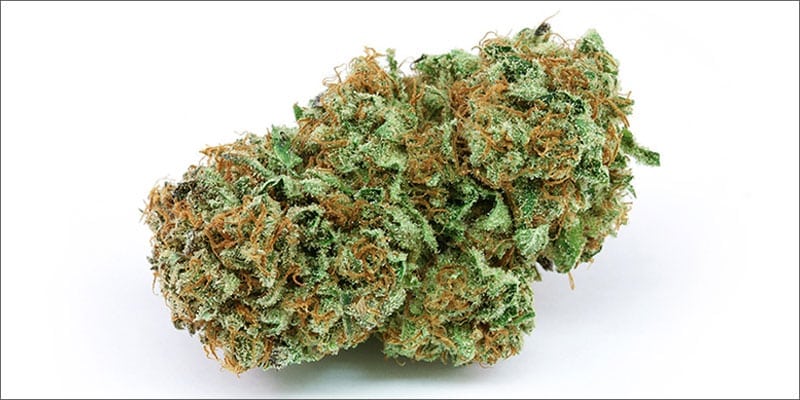 CBD Strains