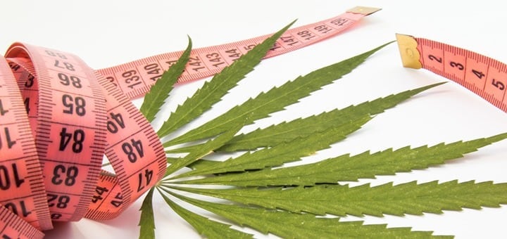 weed and weightloss diets