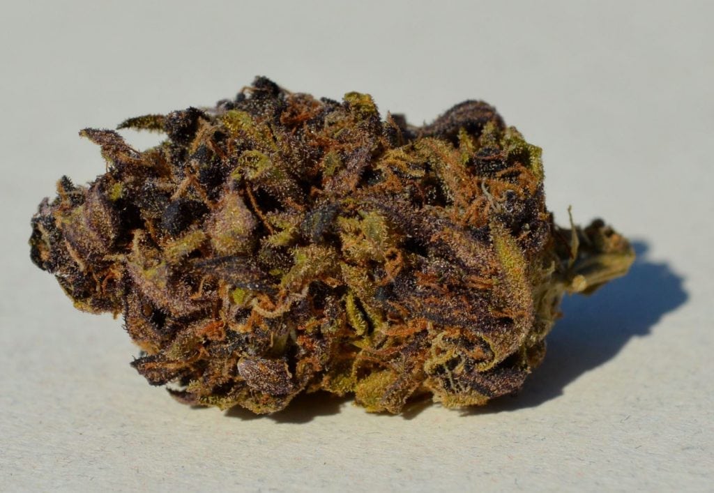 Sexxpot strain - best weed strain for sex