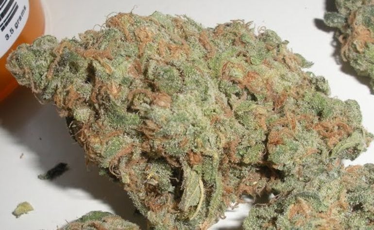 Sour Dream - the best weed strain for sex
