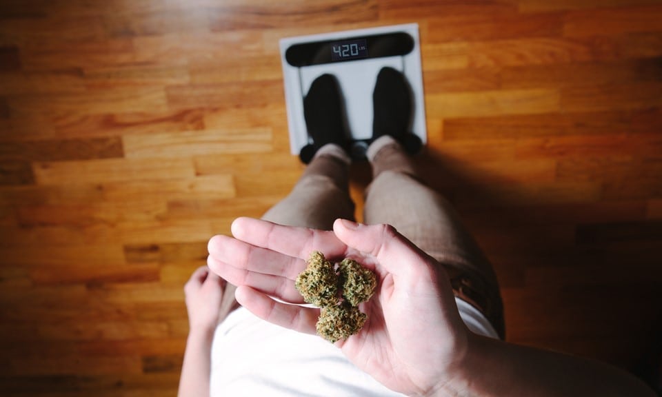 cannabis diet