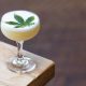 Cannabis Cocktails and Tangerine Sunrise