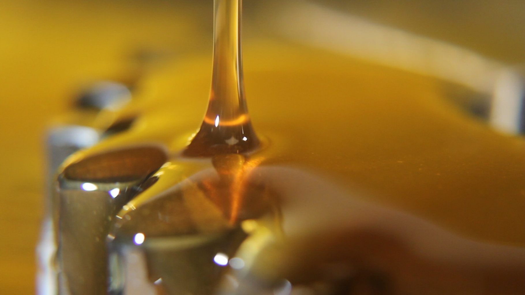 Cannabis Oil