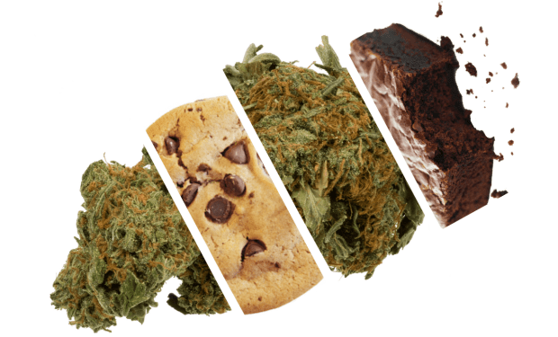 cannabis edibles