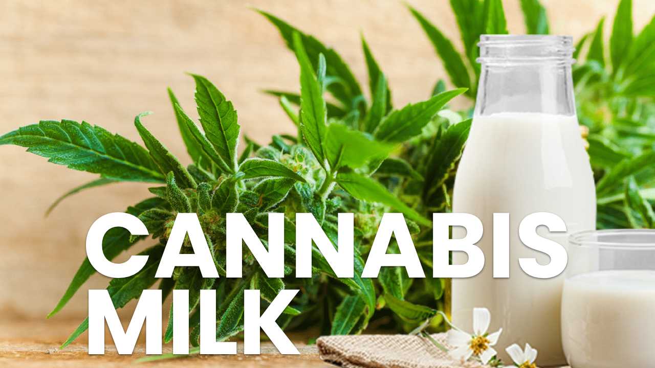 Cannamilk