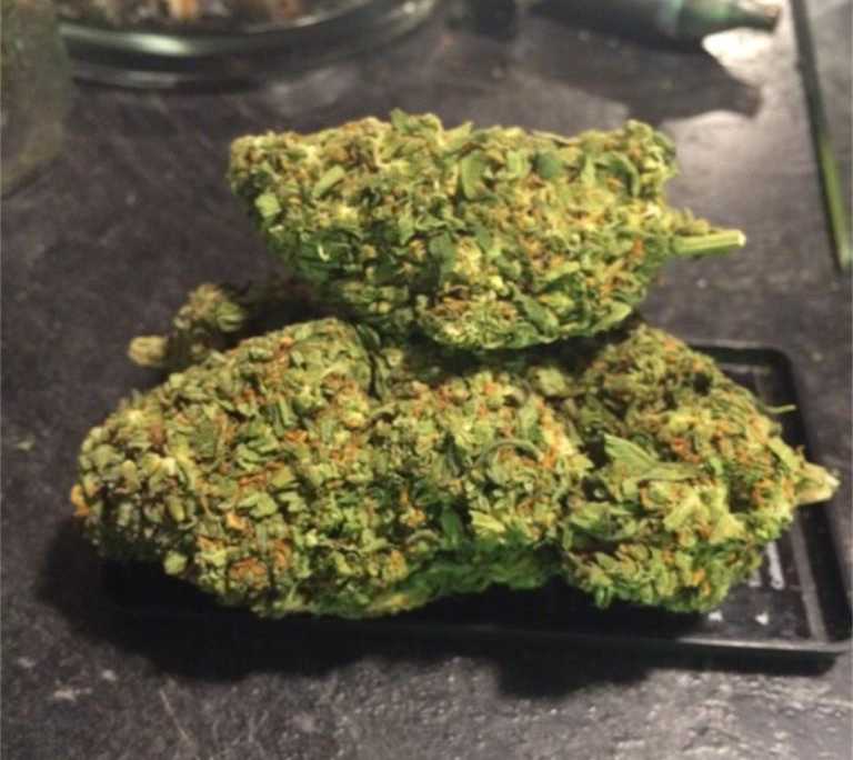 Green Dream Strain