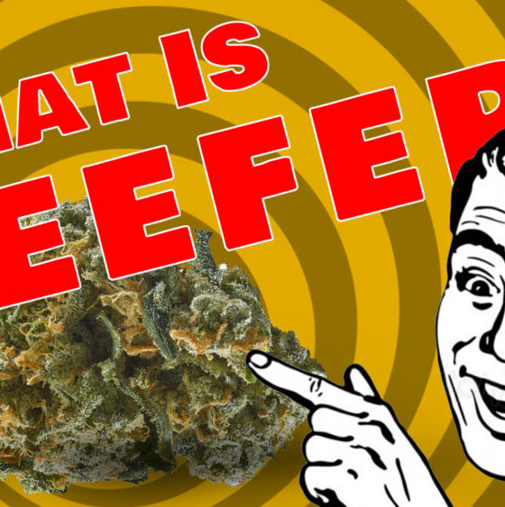 Reefer Madness Returns