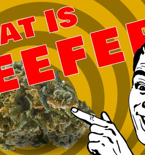 Reefer Madness Returns