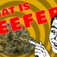 Reefer Madness Returns