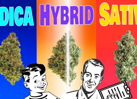 Marijuana Propaganda