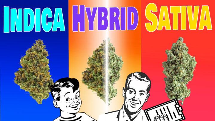 Marijuana Propaganda