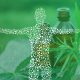 Endocannabinoid system