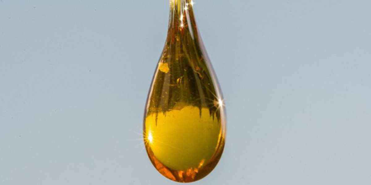 Hemp Oil