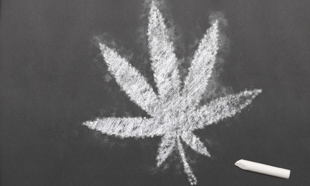 A beginners guide to marijuana