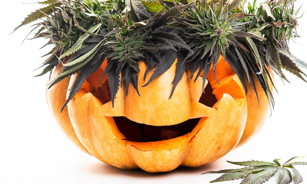 Halloweed Edibles: Will Unsuspecting Kids Get Tricked by Treats?