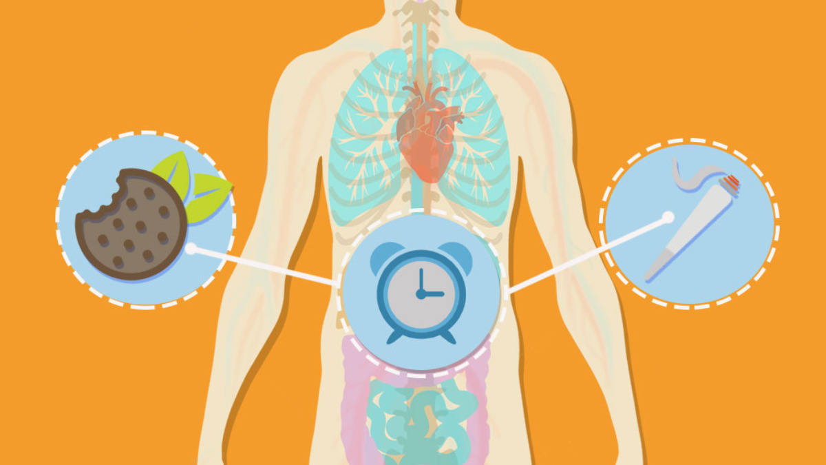 How Long Does Weed Stay In Your System?